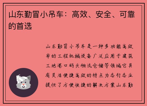 山东勤冒小吊车：高效、安全、可靠的首选