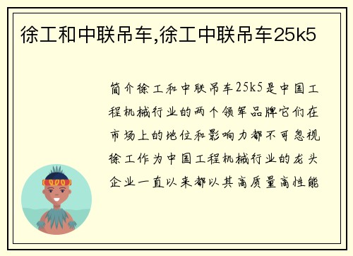 徐工和中联吊车,徐工中联吊车25k5