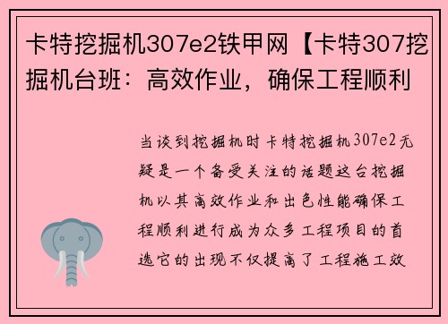 卡特挖掘机307e2铁甲网【卡特307挖掘机台班：高效作业，确保工程顺利进行】