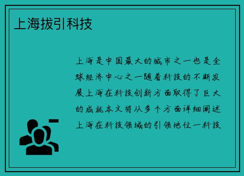上海拔引科技