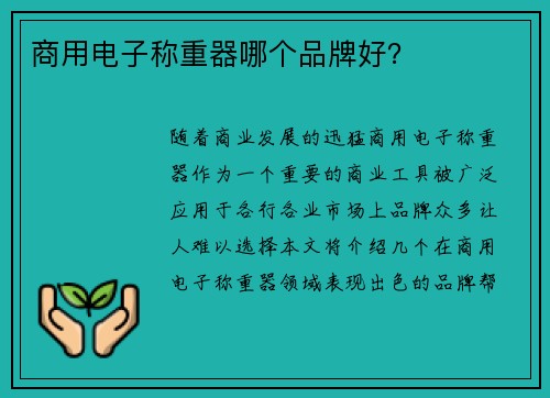 商用电子称重器哪个品牌好？