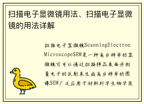 扫描电子显微镜用法、扫描电子显微镜的用法详解